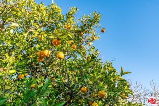 Single Family Residence, 2212 Stacy ln, Camarillo, CA 93012 - 26