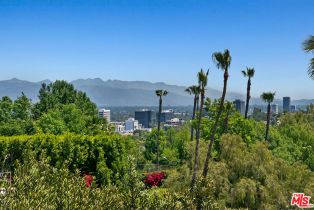 Single Family Residence, 16840 Oak View dr, Encino, CA 91436 - 13