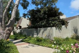 Condominium, 4351 Redwood ave, Marina Del Rey, CA 90292 - 18