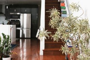 Apartment, 531 Venice way, Venice, CA 90291 - 10