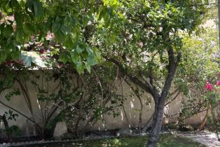 , 153 Hamilton dr, Beverly Hills, CA 90211 - 16