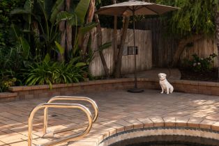 Single Family Residence, 4841 Swinton ave, Encino, CA 91436 - 6