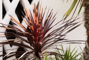 Single Family Residence, 1012 Superba ave, Venice, CA 90291 - 34