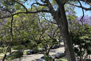 , 324 Palm dr, Beverly Hills, CA 90210 - 41