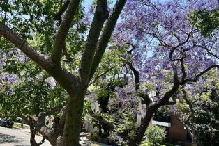 , 324 Palm dr, Beverly Hills, CA 90210 - 42