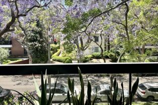 , 324 Palm dr, Beverly Hills, CA 90210 - 39