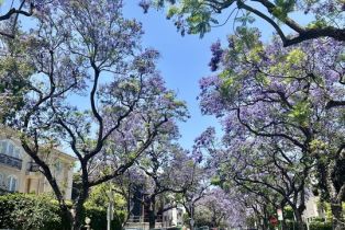 , 324 Palm dr, Beverly Hills, CA 90210 - 35