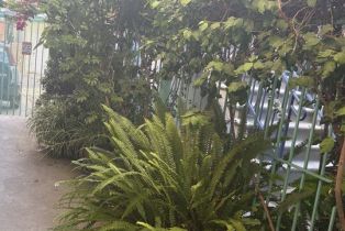 Apartment, 828 Lincoln blvd, Santa Monica, CA 90403 - 5