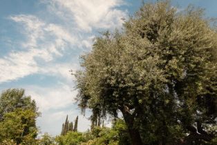 Single Family Residence, 1841 Rose Villa st, Pasadena, CA 91107 - 34