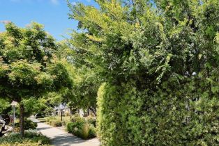 Single Family Residence, 1600 Pepper st, Burbank, CA 91505 - 15