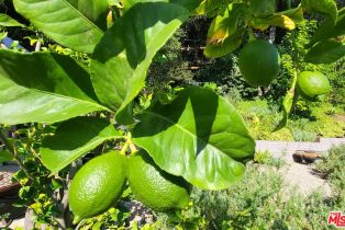 , 4733 San Feliciano dr, Woodland Hills, CA 91364 - 18