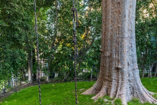 Single Family Residence, 4838 Coldwater Canyon ave, Sherman Oaks, CA 91423 - 5