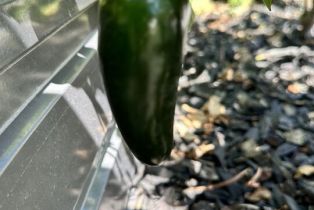 , 1625 18th st, Manhattan Beach, CA 90266 - 12