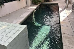 , 2454 Penmar, Venice, CA 90291 - 18