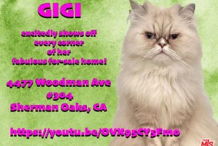 Condominium, 4477 Woodman ave, Sherman Oaks, CA 91423 - 35