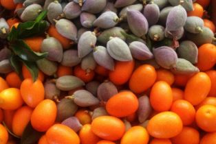 Single Family Residence, 30 Portuguese Bend rd, Rolling Hills, CA 90274 - 71