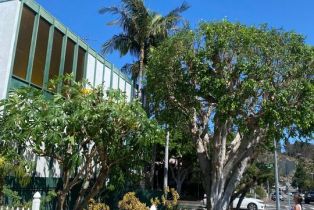 Apartment, 4244 Duquesne ave, Culver City, CA 90232 - 3