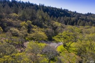 Residential Acreage,  Desnudos way, Sonoma, CA 95476 - 10
