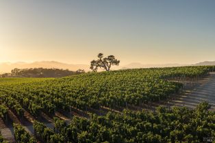 Single Family Residence,  3rd avenue, Napa, CA 94558 - 69