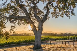 Single Family Residence,  3rd avenue, Napa, CA 94558 - 70