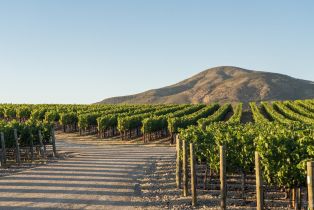 Single Family Residence,  3rd avenue, Napa, CA 94558 - 49