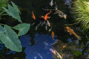 Single Family Residence,  3rd avenue, Napa, CA 94558 - 55