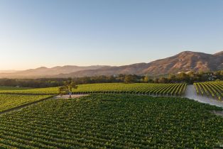 Single Family Residence,  3rd avenue, Napa, CA 94558 - 50