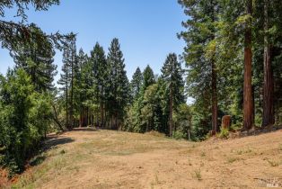Residential Acreage,  Mays Canyon road, Russian River, CA 95446 - 12