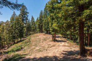 Residential Acreage,  Mays Canyon road, Russian River, CA 95446 - 18