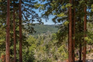 Residential Acreage,  Mays Canyon road, Russian River, CA 95446 - 16