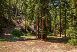 Residential Acreage,  Mays Canyon road, Russian River, CA 95446 - 7