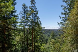 Residential Acreage,  Mays Canyon road, Russian River, CA 95446 - 9