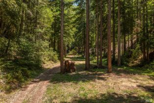 Residential Acreage,  Mays Canyon road, Russian River, CA 95446 - 6