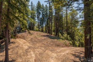 Residential Acreage,  Mays Canyon road, Russian River, CA 95446 - 17