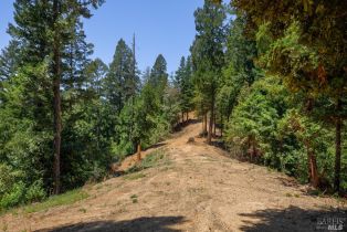 Residential Acreage,  Mays Canyon road, Russian River, CA 95446 - 8