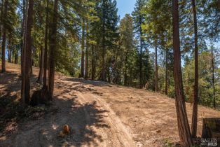 Residential Acreage,  Mays Canyon road, Russian River, CA 95446 - 14