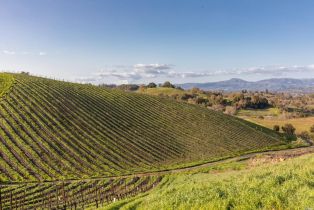 Single Family Residence,  Westside road, Healdsburg, CA 95448 - 50