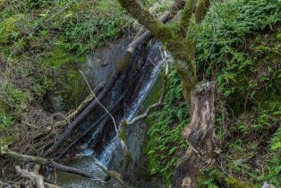 Single Family Residence,  Westside road, Healdsburg, CA 95448 - 47