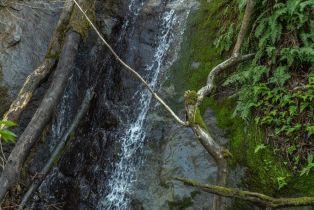 Agriculture,  Westside road, Healdsburg, CA 95448 - 20