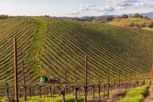 Agriculture,  Westside road, Healdsburg, CA 95448 - 32