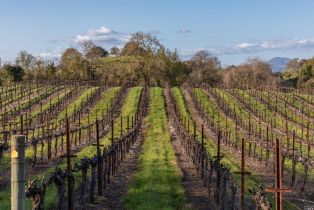 Agriculture,  Westside road, Healdsburg, CA 95448 - 23