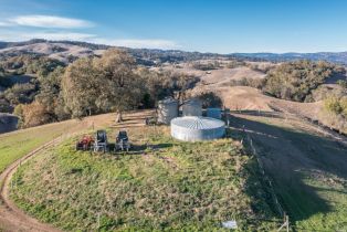 Agriculture,  Westside road, Healdsburg, CA 95448 - 39