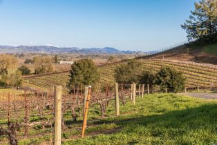 Agriculture,  Westside road, Healdsburg, CA 95448 - 24