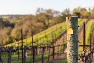 Agriculture,  Westside road, Healdsburg, CA 95448 - 53