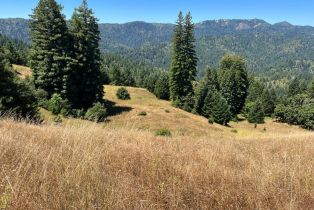 Land, 18000 Old Cazadero Rd, Russian River, CA  Russian River, CA 95446