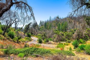 Residential Acreage,  St Helena road, Santa Rosa, CA 95404 - 16