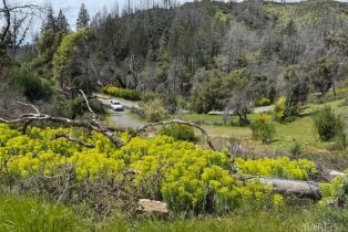 Residential Acreage,  St Helena road, Santa Rosa, CA 95404 - 17