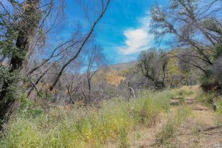 Agriculture,  State Highway 128 highway, Napa, CA 94558 - 22