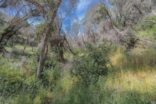 Agriculture,  State Highway 128 highway, Napa, CA 94558 - 15