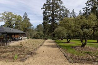 Single Family Residence,  Petrified Forest road, Calistoga, CA 94515 - 36